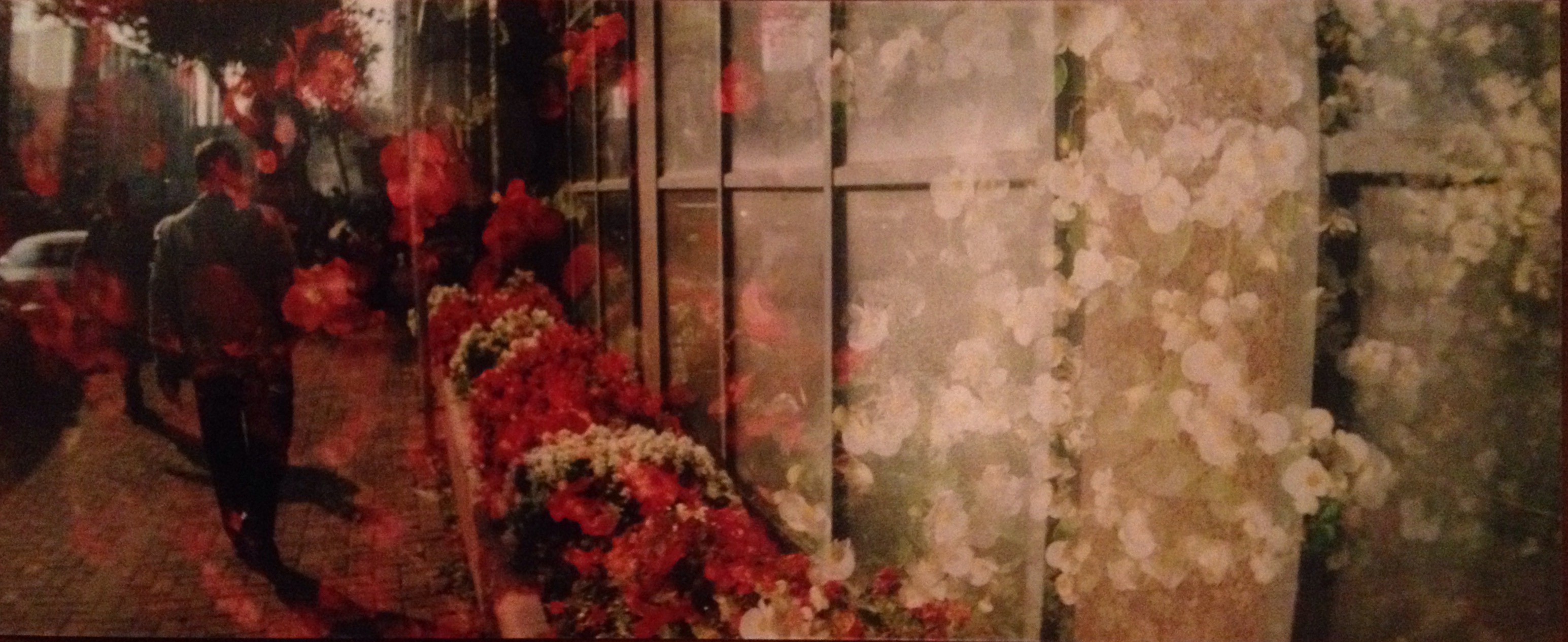 26361016256_38e6b4272e_o