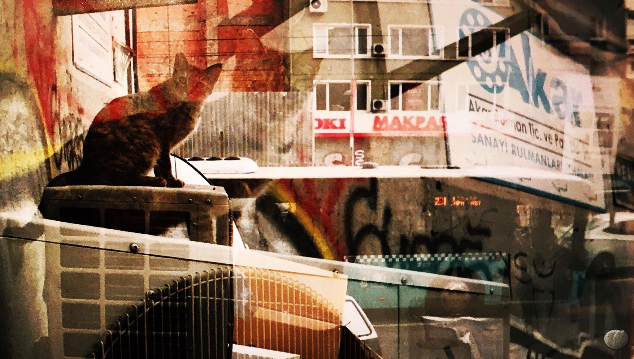 23660326_10215307776789972_1589416764_o