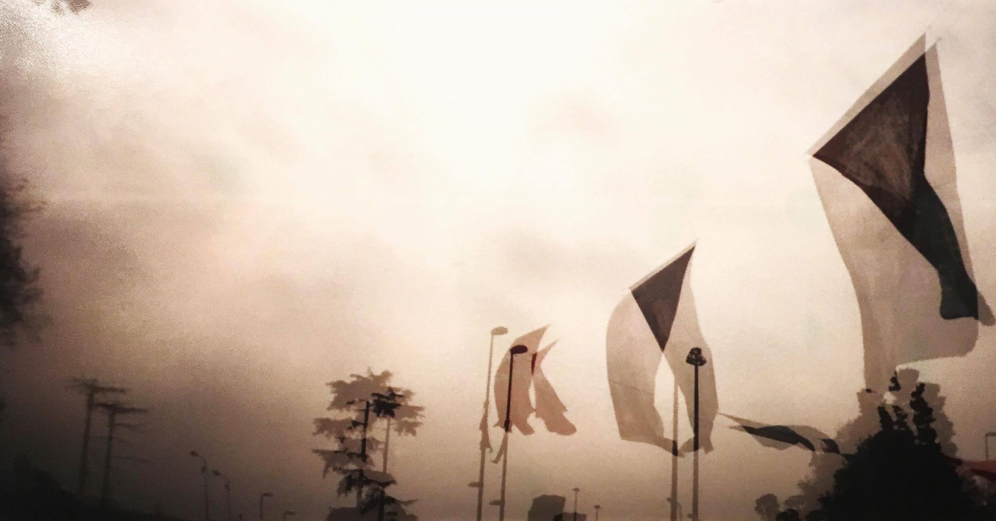 23698410_10215307778070004_2017754605_o